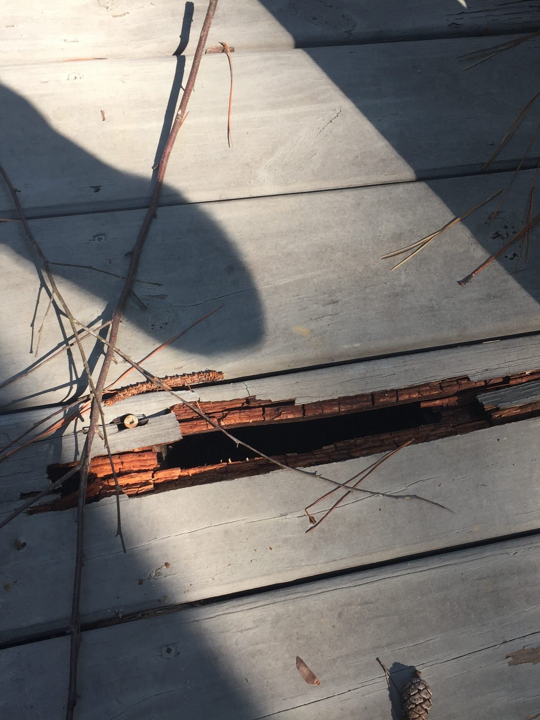 preventative maintenance