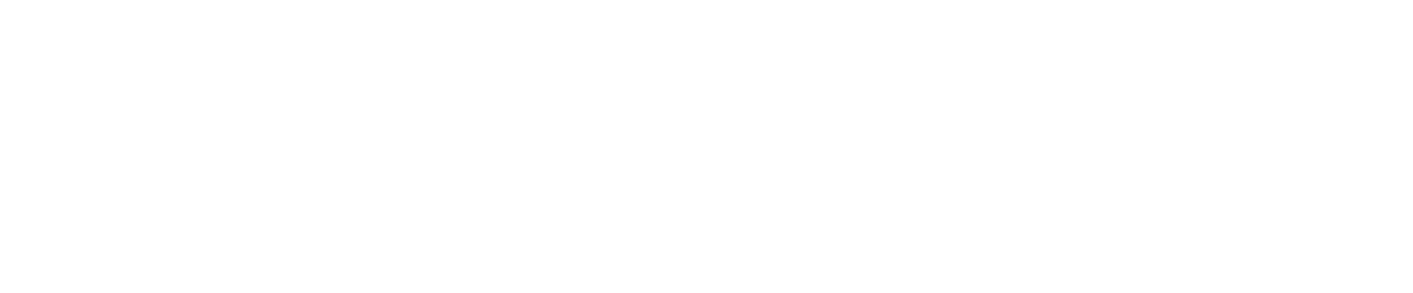 LS-Logo-White